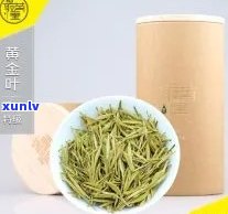 安吉黄金叶是什么品种，探秘茶叶世界：什么是安吉黄金叶？