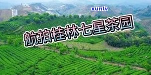 阳朔七仙峰茶叶价格多少？茶园景区门票介绍