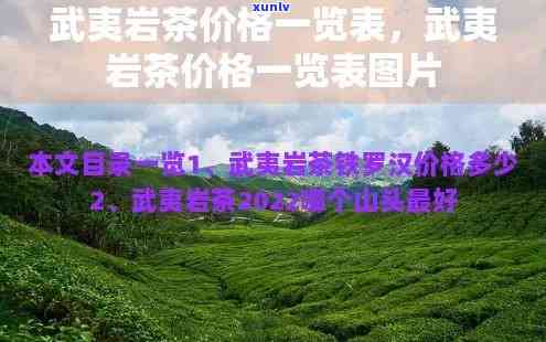 武夷印象茶叶价格表：全面揭示武夷印象茶叶价格、公司信息及武夷岩茶价格