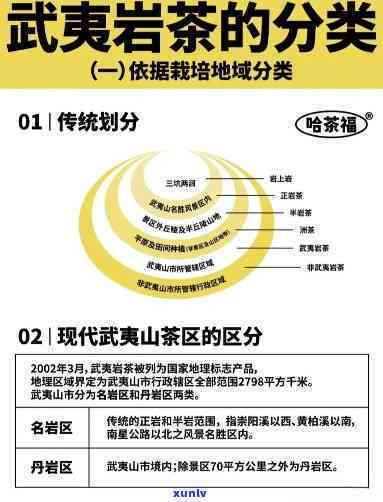 武夷岩茶武夷印象价格，揭秘武夷岩茶与武夷印象的价差，一探究竟！