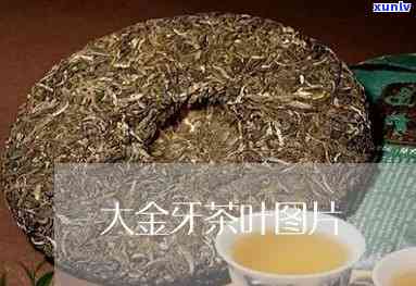 大金牙茶叶每斤价格多少钱，揭秘！大金牙茶叶每斤价格是多少？