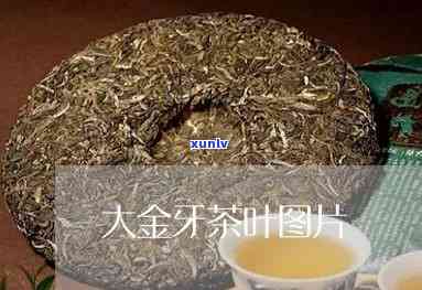 大金牙茶叶属于红茶吗，大金牙茶叶：它是红茶吗？