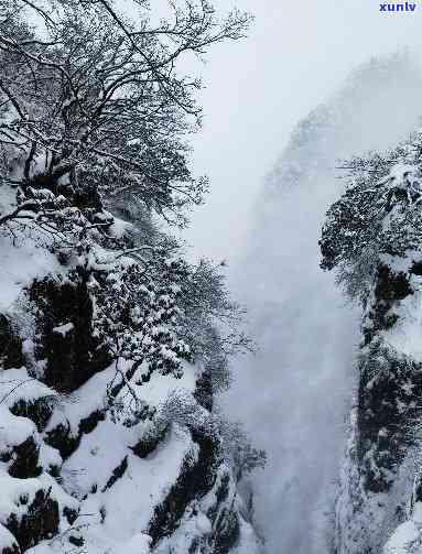 峨眉山飘雪多少一斤，询问峨眉山飘雪价格，每斤多少钱？