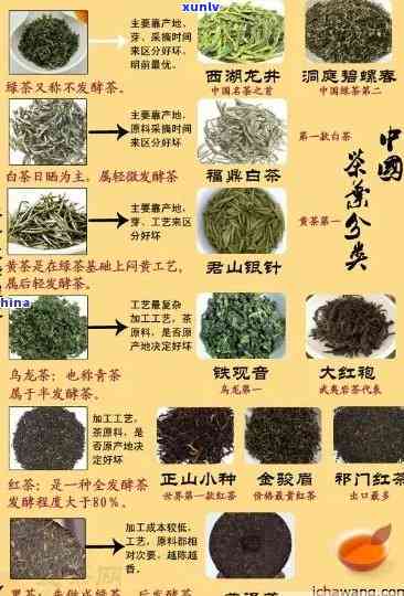 大南山茶业属于什么茶，探秘中国茶叶文化：大南山茶业的品种与分类