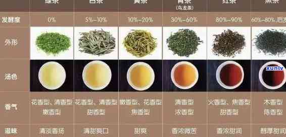 大南山茶业属于什么茶，探秘中国茶叶文化：大南山茶业的品种与分类