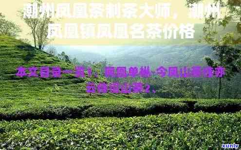 潮州凤凰山茶叶价格-潮州凤凰山茶叶价格表