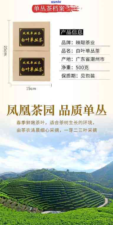 潮州凤凰山茶叶价格-潮州凤凰山茶叶价格表