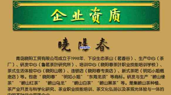 青岛晓阳春茶业介绍、联系方式及官网一览