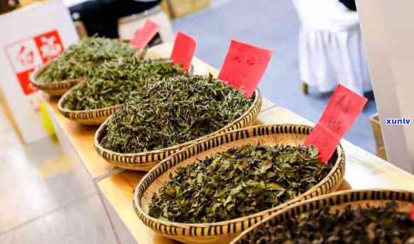 茶博会上茶叶价格是否便宜，探究茶博会：茶叶价格是否真的便宜？