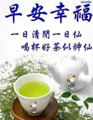 天喝茶什么茶叶好-天喝茶什么茶叶好喝