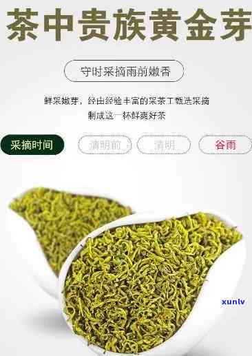 纯手工黄金芽茶叶价格，品味尊贵，尽在纯手工黄金芽茶叶！最新价格大公开！