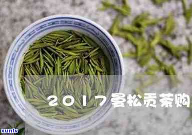 朵贡茶茶叶的价格-朵贡茶茶叶的价格是多少