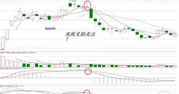 普洱宫廷贡饼价格：熟茶357克，查询及相关信息请看这里