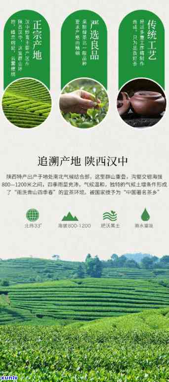 汉中四大名茶叶价格-汉中茶叶排名