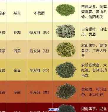 各种茶叶百科，探索茶的世界：各种茶叶百科全书