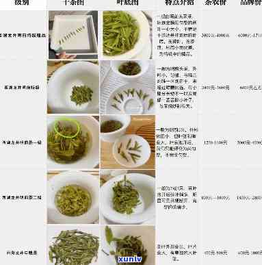 茶叶怎么算每斤价格？详细步骤解析！