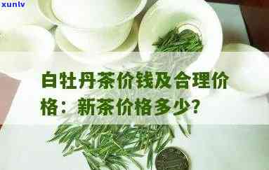 白牡丹茶叶价格一般在多少？全网最全白牡丹茶叶价格表与新茶价格解析