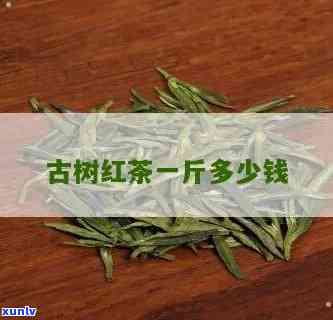 古树红茶叶多少钱一斤？最新价格表一览