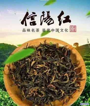 中原一号红茶叶价格-中原一号茶叶红茶