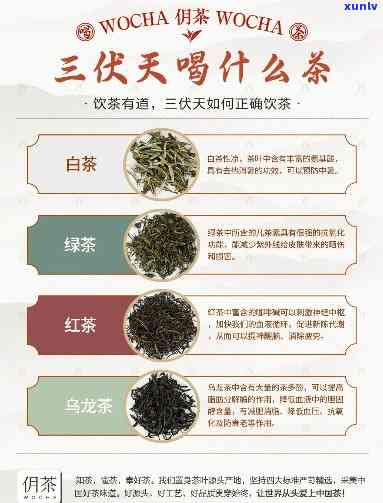 三伏天喝什么茶叶好-三伏天喝什么茶叶好?