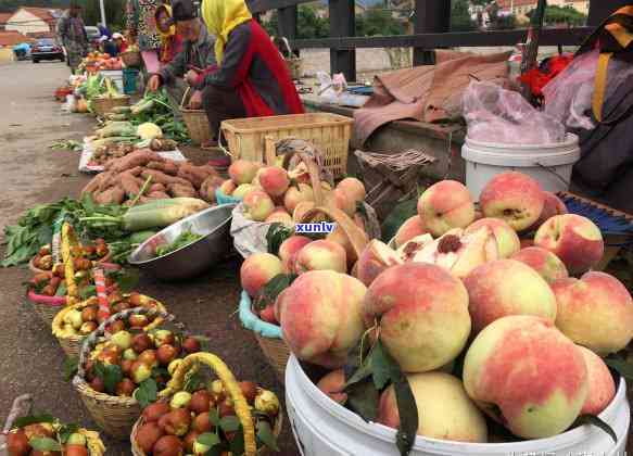 送老人什么茶叶最实用？茶叶品种、品质、口味全解析！