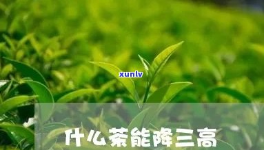 什么茶叶降三高-什么茶叶降三高喝