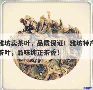 潍坊产什么茶叶？探究当地及优质的茶叶品种