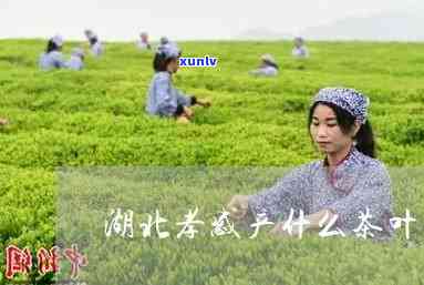 湖北孝感名茶，品味湖北：探寻孝感名茶的魅力