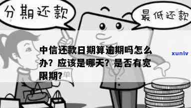 中信银行逾期还款规定最新：逾期宽限天数、解决方法及最新政策全解析