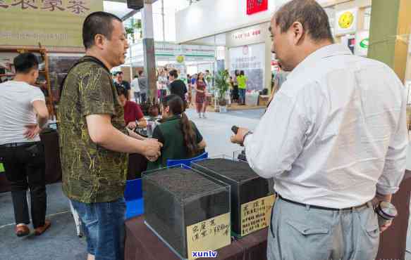 什么茶叶最有名最贵喝，探寻茶叶世界：什么茶叶最有名、最贵、喝？