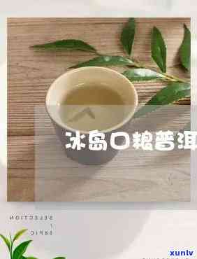 冰岛的口粮茶怎么样-冰岛的口粮茶怎么样好喝吗