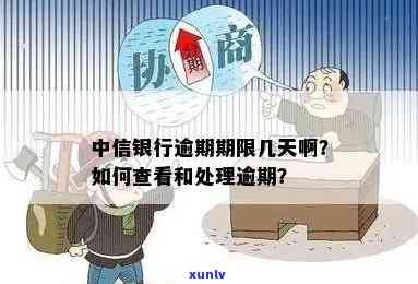 中信逾期多久怎么查询进度，怎样查询中信逾期的进度？