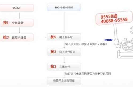 全面解析：中信银行逾期步骤、流程及联系方法