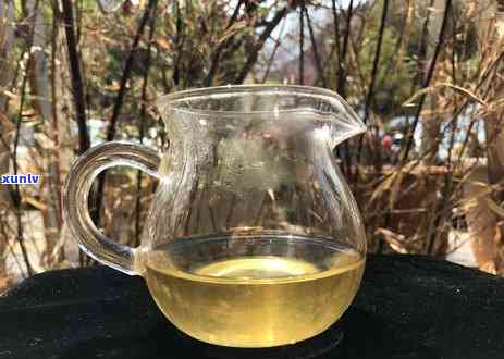 17年的冰岛古树茶-17年的冰岛古树茶价格