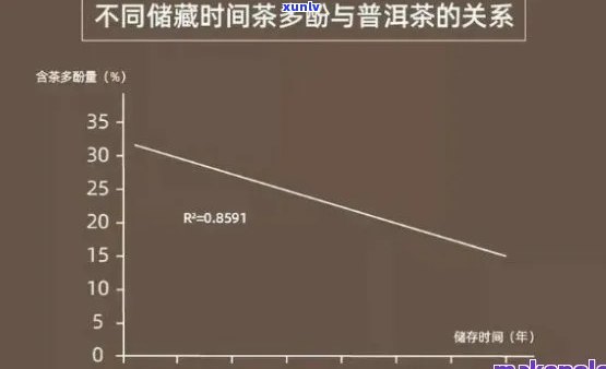 什么茶叶里含茶多酚，探究茶叶中茶多酚的含量：哪些茶叶含有丰富的茶多酚？