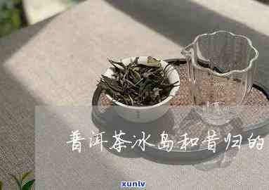 昔归与冰岛茶的区别-昔归茶与冰岛茶的区别