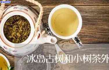 冰岛小树茶与哪个好，冰岛小树茶 vs 红土茶：一场口感的较量