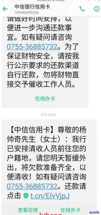 老班章古树茶：一款值得收藏的普洱茶品，最新批发报价与购买渠道