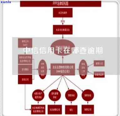 中信银行怎么查询逾期信息，如何查询中信银行的逾期信息？