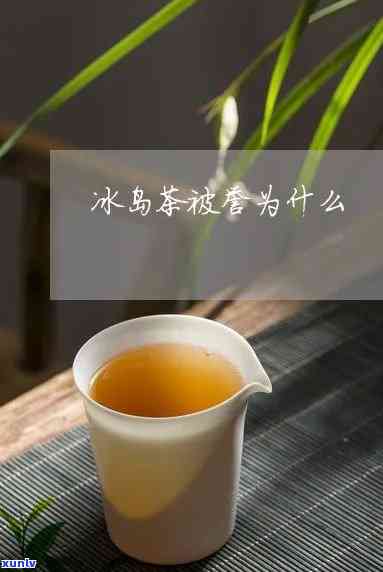 冰岛茶为什么叫Sl-冰岛茶为什么叫冰岛茶