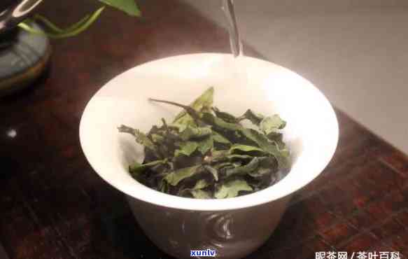 什么茶全是梗：什么茶叶有梗、什么茶的作用，还提到了什么茶婊和什么茶茶