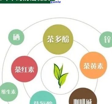 什么茶叶含钾元素多一点，哪种茶叶富含钾元素？