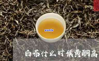 什么茶叶含黄酮最多-白茶和莓茶哪个黄酮更高