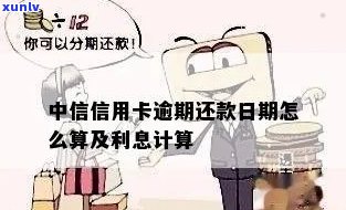 中信逾期怎么计算利息-中信逾期怎么计算利息的