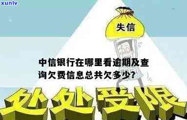 怎样查询中信银行欠款及总欠款金额？官方渠道与系统详解