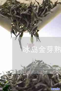 冰岛金毫熟茶的功效-冰岛银毫生茶与冰岛茶区别