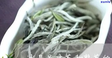 冰岛金毫熟茶的功效-冰岛银毫生茶与冰岛茶区别