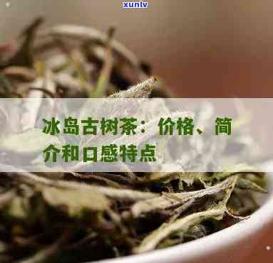 冰岛古树茶的特点图-冰岛古树茶的特点图片