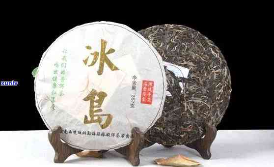 冰岛古树茶的特点图-冰岛古树茶的特点图片