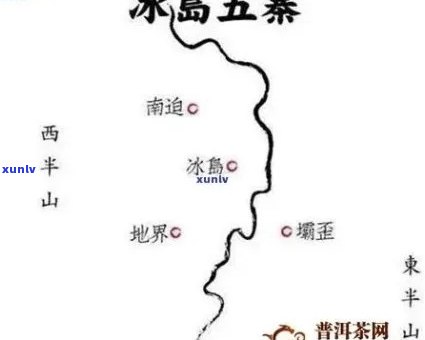 冰岛古树茶产地直销价格表及口感特点介绍，2021年最新价格是多少？